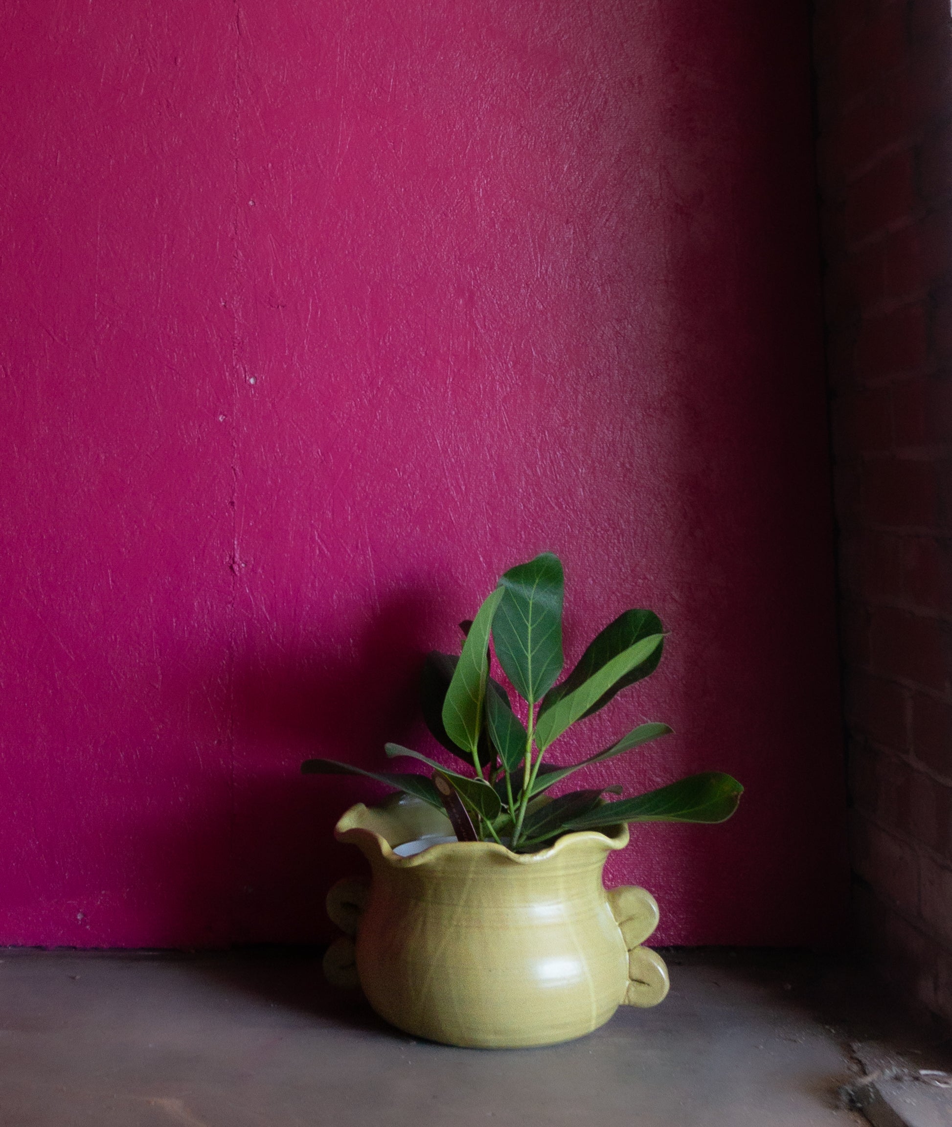 Planters