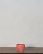 Espresso Cup- Guava Glaze