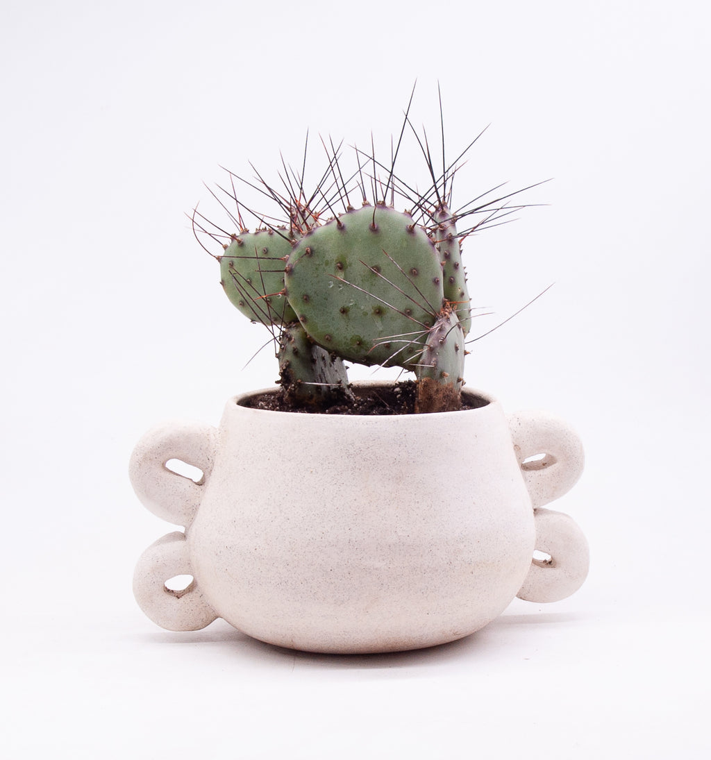 Medium Orejas Planter