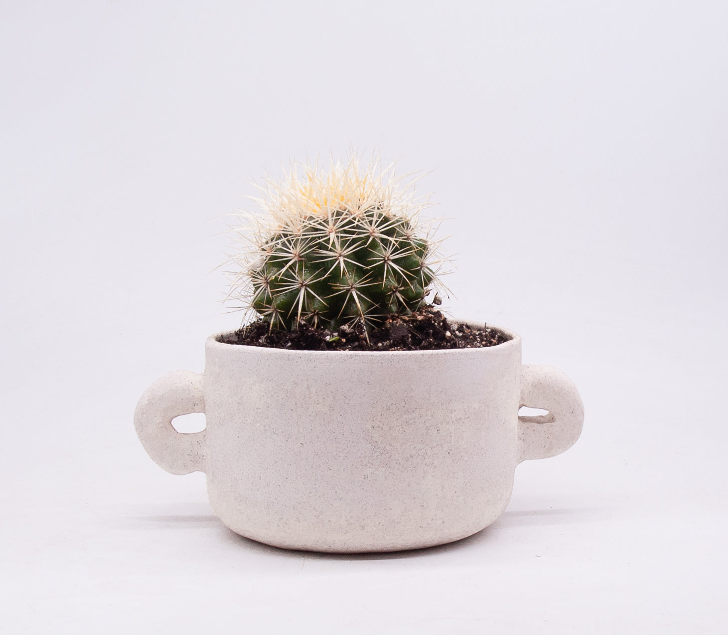 Medium Oreja Planter
