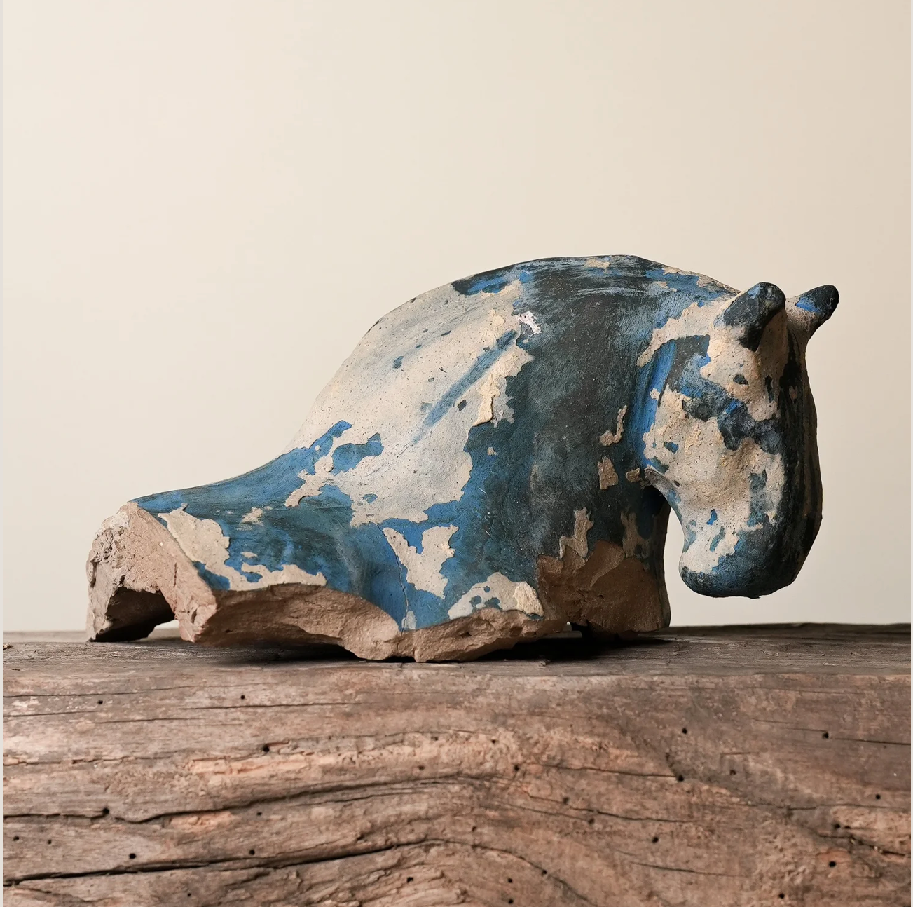 Horse Head